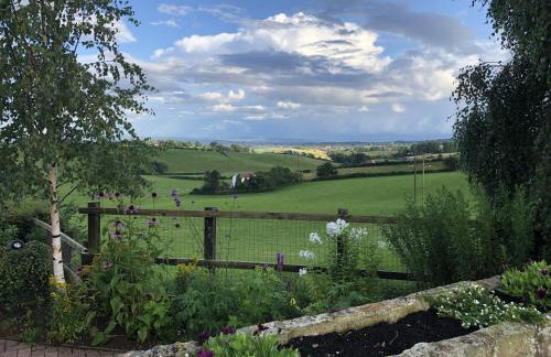 Betula Views - Photo 20