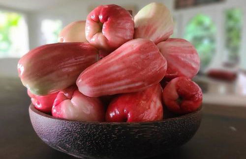 PonoMana Oasis's - Koi Cottage - Foto 19