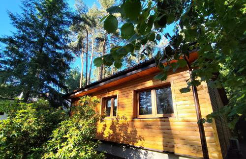 Jutowa Chata - nocleg bliżej natury - Foto 49