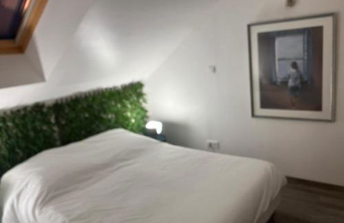 Duplex coloré et lumineux - Foto 5