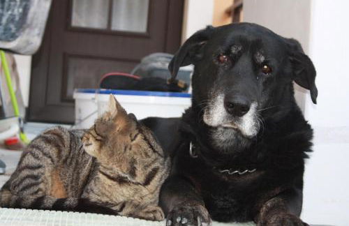 Romantik Landhaus - Foto 19