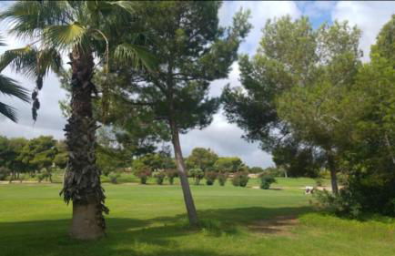 Mi Casita Villamartín Golf - Photo 53