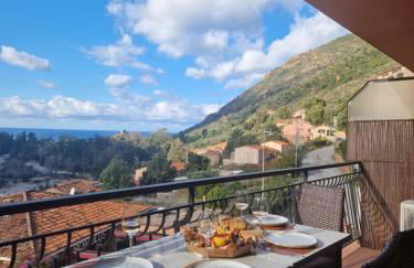 T2 vue mer & montagne Golfe de Porto-Ota - Foto 4