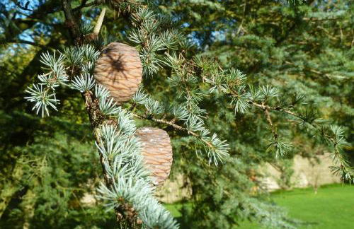 Little Vintners by inspirestays-com - Foto 21