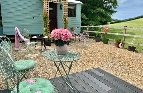 Little Bo Peep - Foto 1