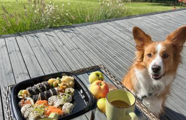 Powidoki Mazury - Foto 75