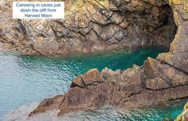 Harvest Moon - Foto 36