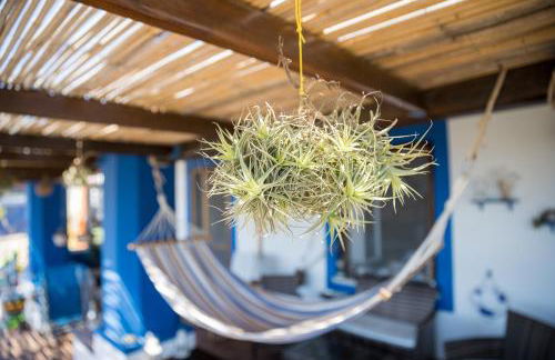 Clelia Case Vista Mare - Foto 59