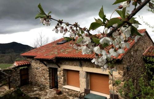 Molino de las Pontezuelas - Photo 8