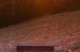 Houten Villa "ReisnaarPolen" Royaal ontbijt tevens Gluten Lactose vrij, Vega en diner mogelijk, sauna en Hottub - Foto 60