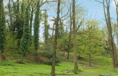 Hope Cottage - Foto 11