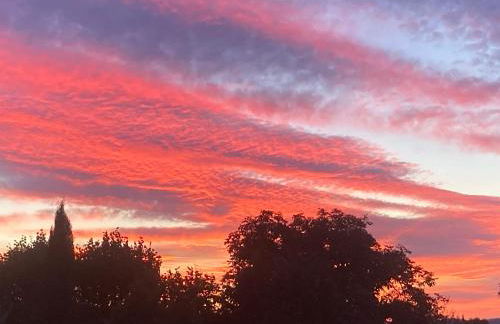 Château de Peyrolles - Photo 73