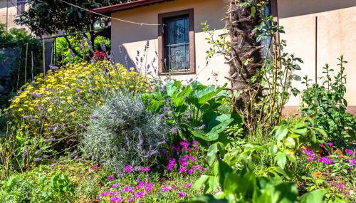 Little garden house - Foto 5, Garden