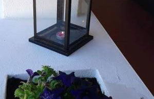 Tapada da Rabela - Reserva Natural - Foto 15