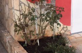 Lipovac resort Ficus - Foto 61