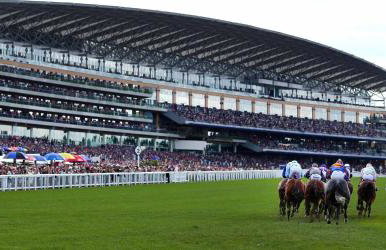 1 Bed Serviced Apartment Bracknell 5 mins from station - Photo 49