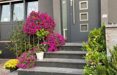 1 grosse elegante Zimmerwohnung 5 Minuten zu Fuss in die Stadtmitte - Foto 50