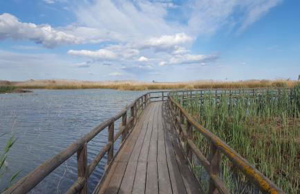 El Soleado El Rincon - Foto 67