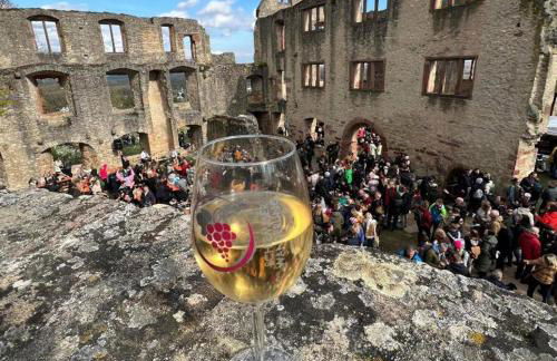 Ferienwohnung Landskrone - Foto 8