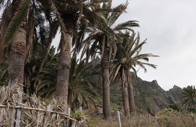 Casa Oásis Atlántico, Rincón Secreto al Pie de los Senderos - Foto 12