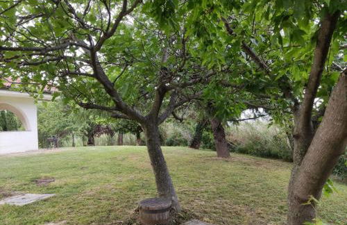 Cara Pace in collina per gruppi - Foto 18