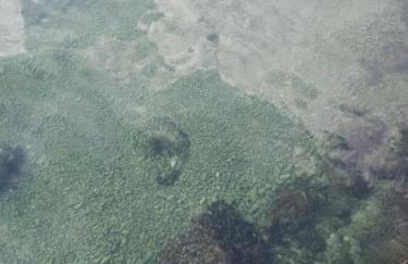 Apartmani Jenny - Photo 48