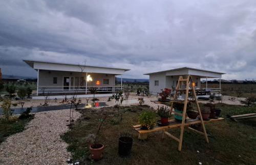 Agroktima Arta - Farm Stay - Foto 45