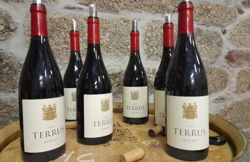 River View ate Terrus Winery - Foto 9