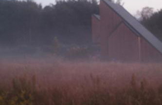 Zen Sasino - Foto 44