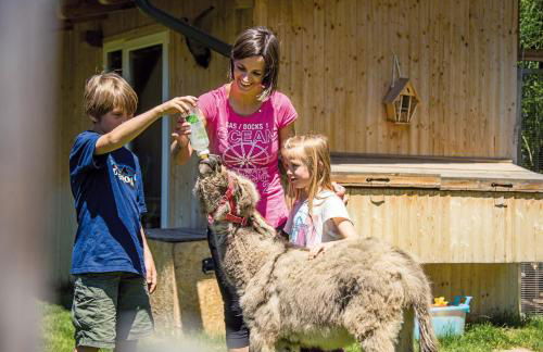 Stabinger Hof - Foto 29