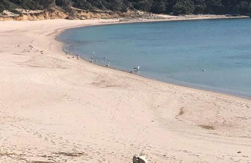 Miramare Isola Rossa - Foto 57