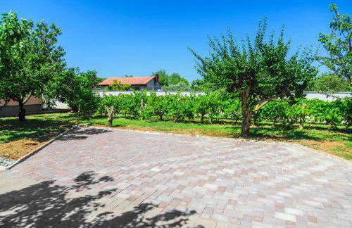 Villa Pacis - Photo 62