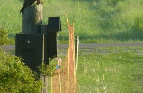 Ferienwohnung im Spreewald in idyllischer Alleinlage - Foto 10
