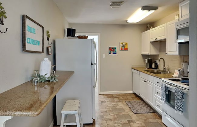 Blue Curlew - Photo 13