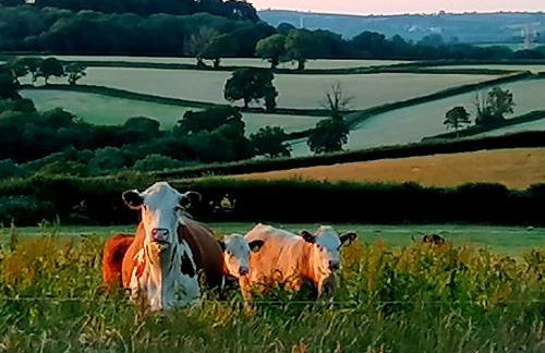 Corner Cwtch - Foto 26