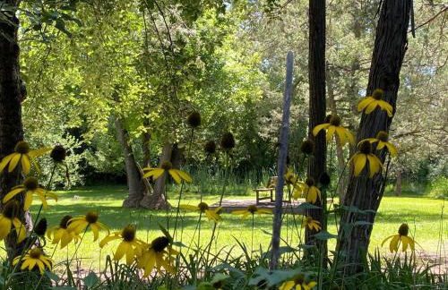 Create Lasting Memories: Family-Friendly Rustic Cabin in New Mexico's Backcountry - Foto 23