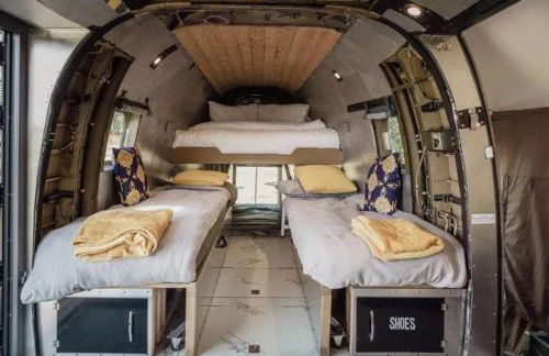 Oscar the Puma at Field of Dreams - Foto 7