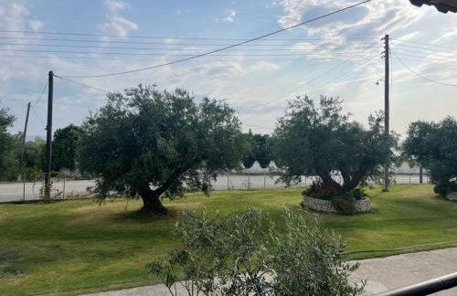 Κάμπος - Foto 6