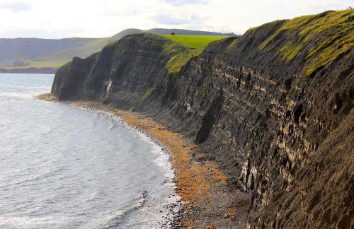 The Old Reading Room - Photo 26