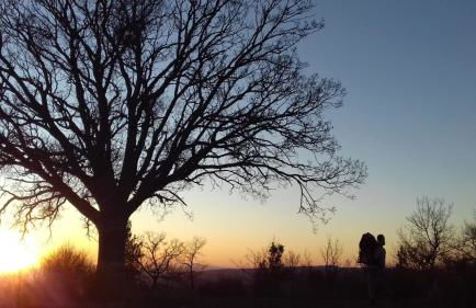 La Casa del susino - Foto 16