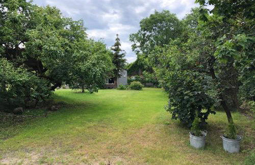 Domek całoroczny blisko lasu i morza na urokliwej działce 4300 m2 - Photo 5