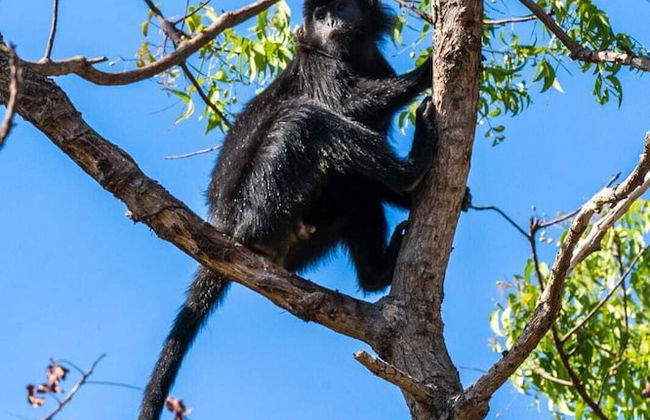Villa Sari Bumi Menjangan - Photo 40