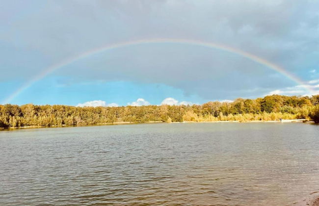 Forest Stay With Shared Pool - Foto 31