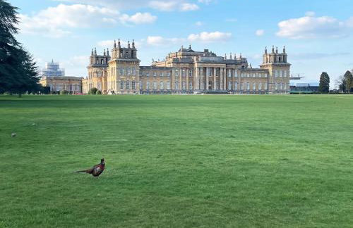 Cosy flat in heart of Woodstock - Foto 4