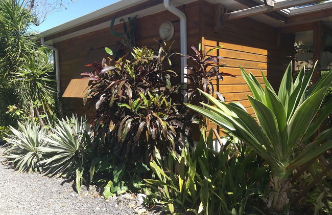 Gite Bois-Cannelle - Photo 2