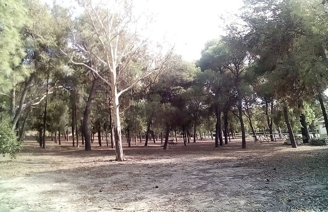 Foximanna on the North Floor in a Villa Surrounded by Greenery Facing the sea - Photo 46