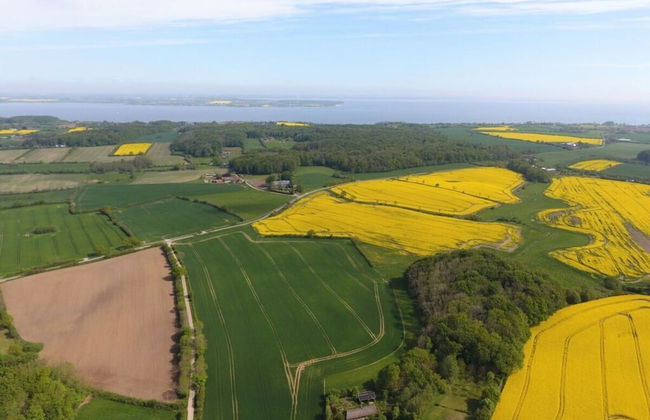 Reading Roof Cate Fuchsgraben - Foto 37