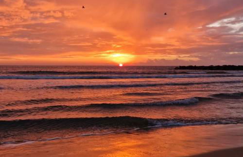 Sable & Pampas - Meublé de Tourisme 5 étoiles - Vue Panoramique & Terrasse - Climatisation - Plage à 200m - Foto 22
