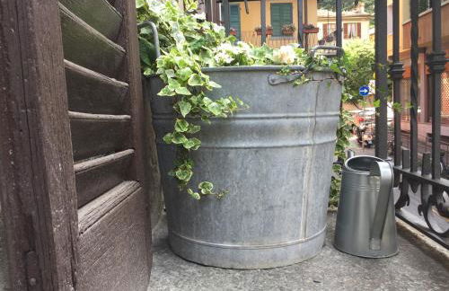 PicinqueComoLake - Foto 23