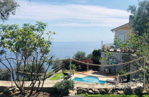 Sea South front property1/2acre.Gardens pool hydro - Foto 58